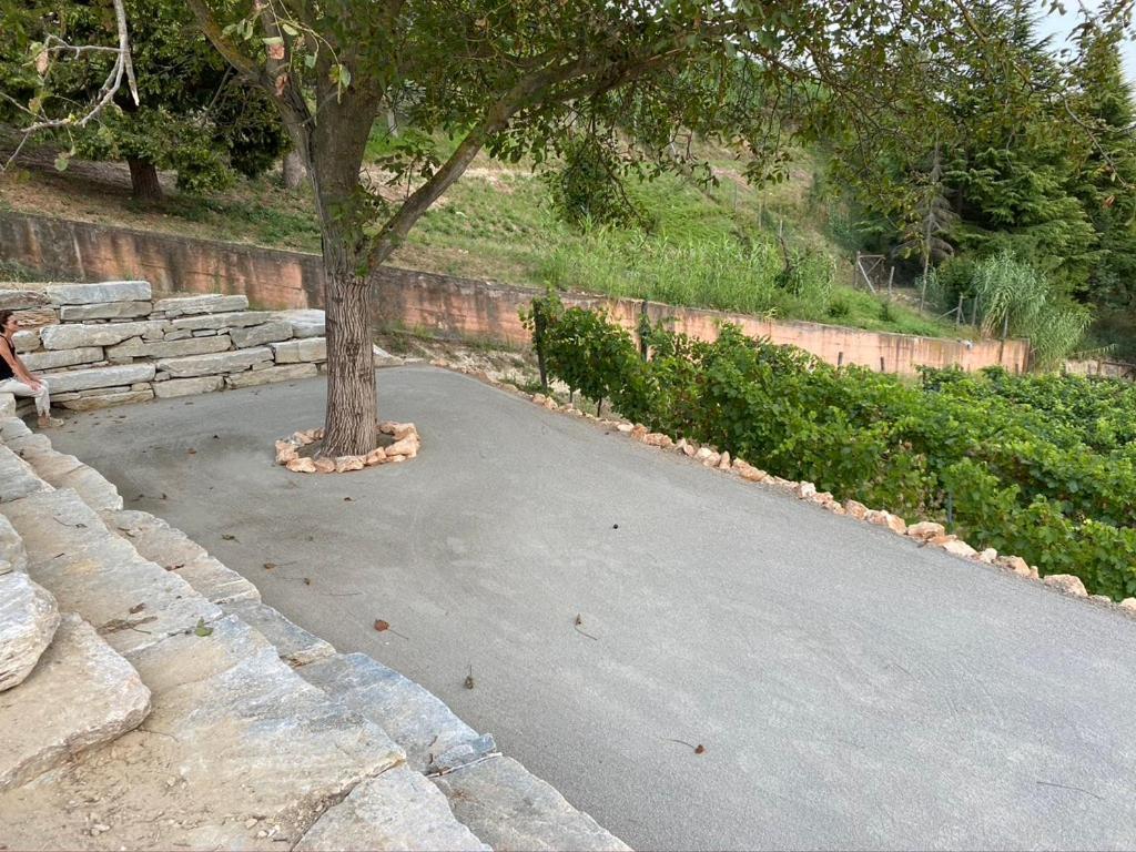 Giarvino Boutique Guest House Acqui Terme Bagian luar foto